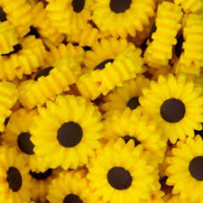 Sunflower Focal